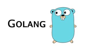 Golang programming language