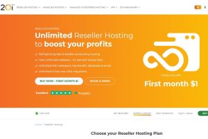 20i’s reseller hosting